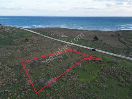 İmroz Emlak'tan 1/100.000'lik Turizm Planında 1.375 M2 Tarla
