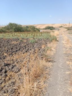 Kw Plus' Tan Resmi Yolu Olan E5 E Yakın Bağ Yeri-bağ Evi Yapılır