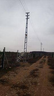 Satılık Hobı Bahcesı Bag