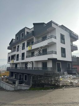 Şimdi Al Karlı Çık