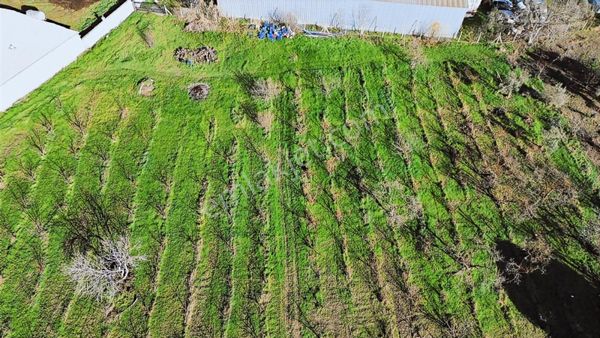 Kemalpaşa Merkez Dsi Yakını Satılık 10042 M2 Arazi