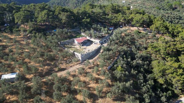 Doyran Köyü’nde %40 Köy İmarında Satılık Arsa