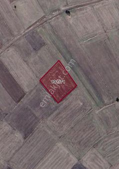 Deniz Yiğit Emlak' Tan Merkez Turgutlar Köyü Satılık Tarla