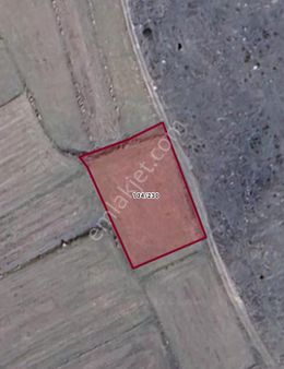 Deniz Yiğit Emlak' Tan Merkez Turgutlar Köyünde Satılık Tarla