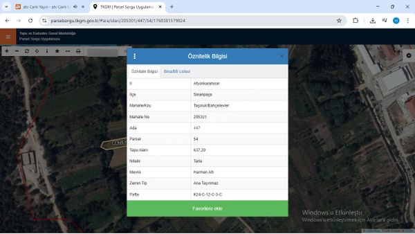 Taşoluk Ta Satılık Tarla
