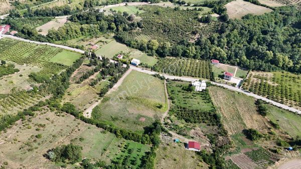 Taflanda Asfalt Yola Cephe 12.5 Dönüm Tarla