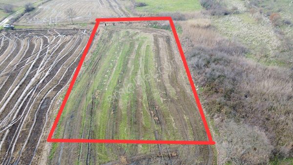 Gönen Bostancı Mh.satılık 2.700m² Çeltik Tarlası