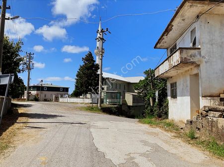 Sakarya Karasuda 7.216 M2 Kaçırılmayacak Satılık Fındık Bahçesi!