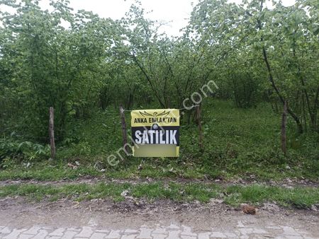 Sakarlı Merkez, İmarlı Arsa