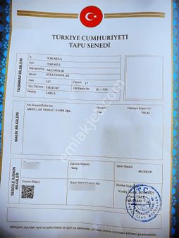 Sakarya Taraklı Akçapınarda Yatırmılık