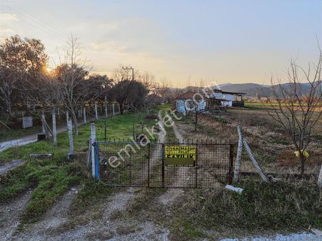 Kaçmazer'den Tire Merkeze Yakın Satılık Çiftlik