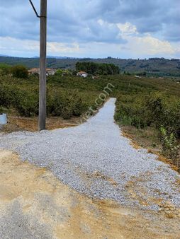 Ferizli Kuscada İmarlı Satılık 404 M2 Arsalar 3 Numara