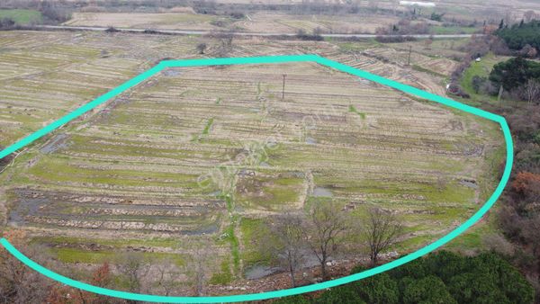 Gönen Ulukır Mh.22.750 M² Satılık Çeltik Tarlası