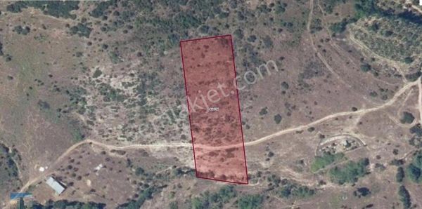 S1095 Ayhan Gezer Emlak'ta Edincikte 4.954.61m2 Satılk Tarla