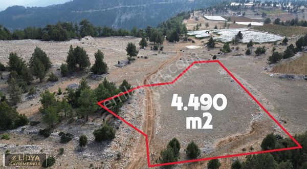 Çerçili Süpürgelik Doğa Manzaralı Uygun Satılık Tarla