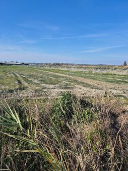 Arsuz Akçalı Mahallesinde Satılık Tarla