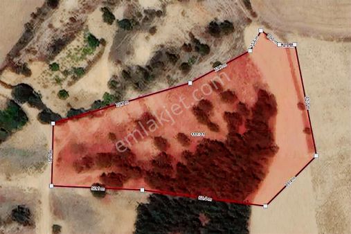 Yenişehir Çelebi'de 8.639 M2 Bağ - Tek Tapu