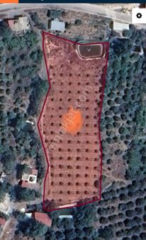 Atabey Emlaktan Kösbucağında Satılık Tarla