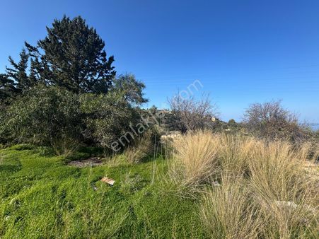 Girne Lapta'da Villa Yapımına Uygun Satılık 700 M2 Arsa !!