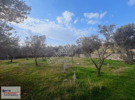 Yakaköy Profesörler Sitesi Satılık 350 Mt2 Arazi