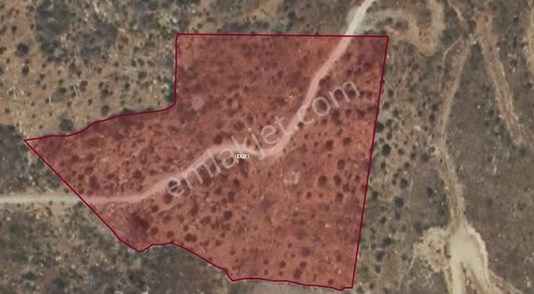 Muğla / Mılas / Bozalanda Satılık 14.400 M² Tarla