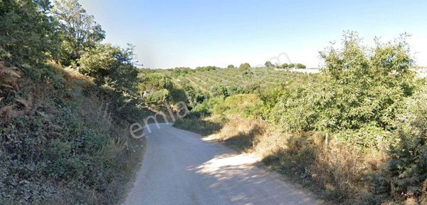 Bandırma Çakılköy'de 27,512 M2 Satılık Arazi