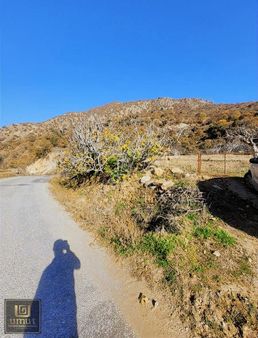 Aydın Buharkent'te Yatırımlık Meyve Bahçesi İncir Zeytinlik