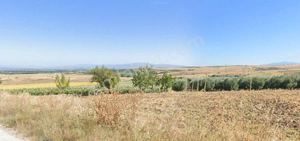 Karacabey Tophisar Mahallesinde 123 Dönüm Satılık Arazi