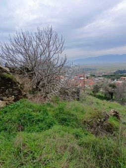 Aydın Yenipazar Hamzabali Köyünde Satılıık Arsa