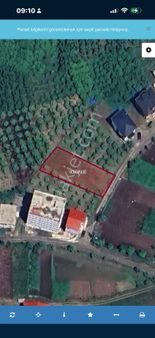 Deha Emlaktan Satılık Tarla Akçaabat Kirazlık Köyünde