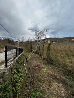 Trabzon Bengisü Satılık 747 M2 Arsa