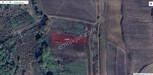 Turyap Koza'dan Kandıra'da 1.045 M2 Tarla Satılık