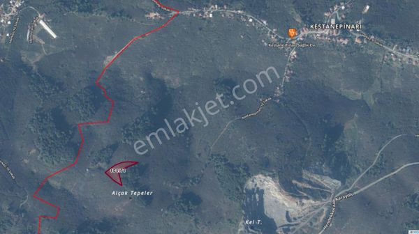 Sakarya Kocaali Kestanepınarı Köyü Satılık Fındık Bahçesi Tarla