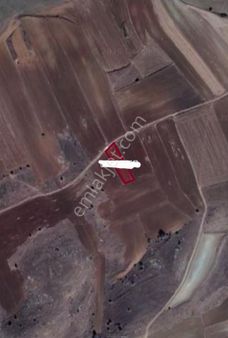 Eskişehir - Tepebaşı-uludere 1.014,85 Metrekare Satılık Tarla