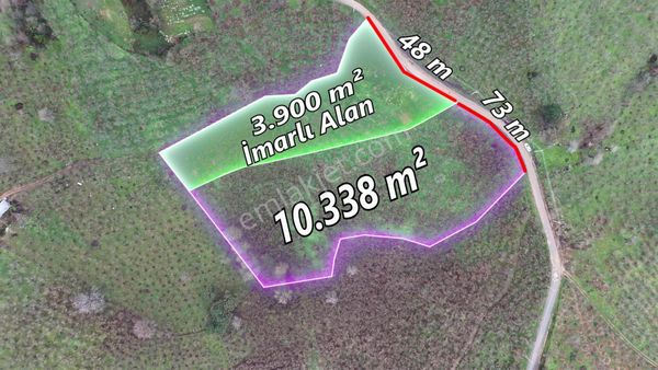 Akçakoca Göktepe Köyünde Kısmi İmarlı Bakımlı Fındık Bahçesi