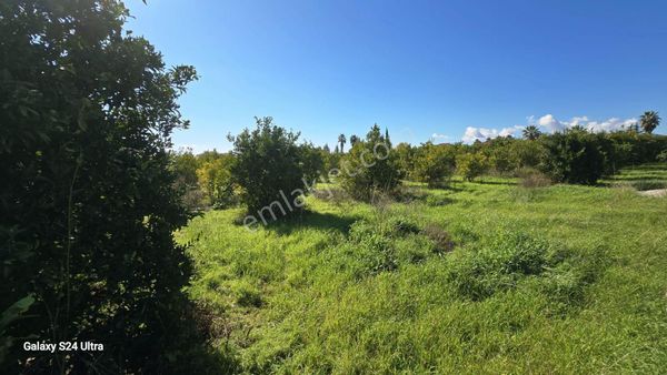 Bugünden Al 18. Madde Sonrası Değerlenen Proje Arsası