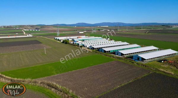 Bandırma Bursa Karayoluna Yakın Akçapınar'da Satılık Tarla