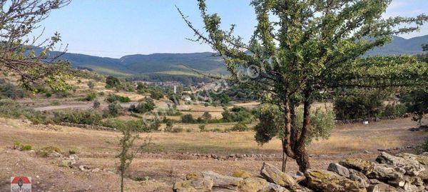 Muğla Milas Pinararası Mah De Satılık Tarla Suat Yaşar Emlak Tan