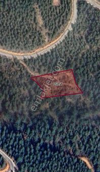 . Huzurlu Konumda 3.511 M² Tarla Muğla Menteşe Sungur