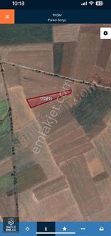 Oğulduruk Köyü Satılık 2700 M2 Tarla