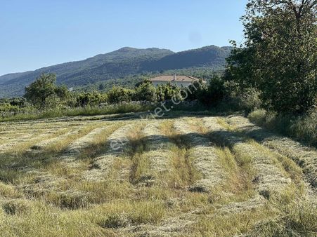 Kaş Gökçeyazı ( Belkonak ) Mevkii 2.100 M2 Müstakil Parsel