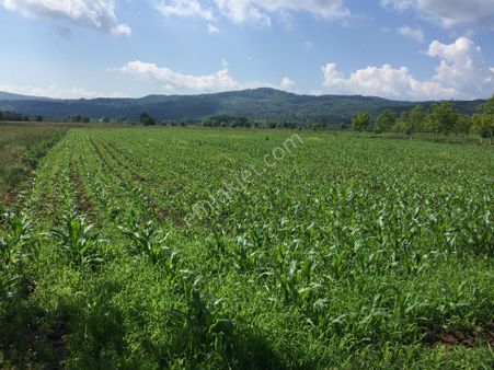 Yıldız Gayrimenkul'den Kaynarca Satılık Tarla