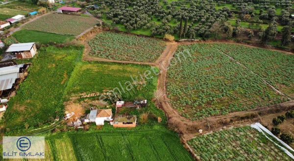 Aydın Şahnalı Müstakil Ev Ve Geniş Arazi