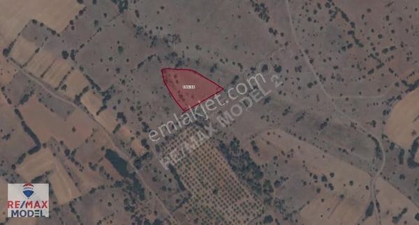 Remax Model Den Tavas Balkıca Da 3744m² Satılık Tarla