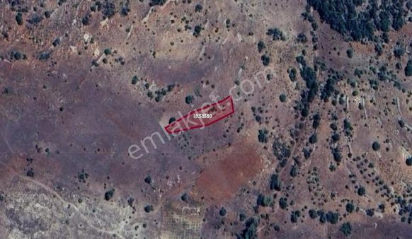 Konya Hadim Aşağıeşenler Köyünde 802 M² Bağ Satılıktır