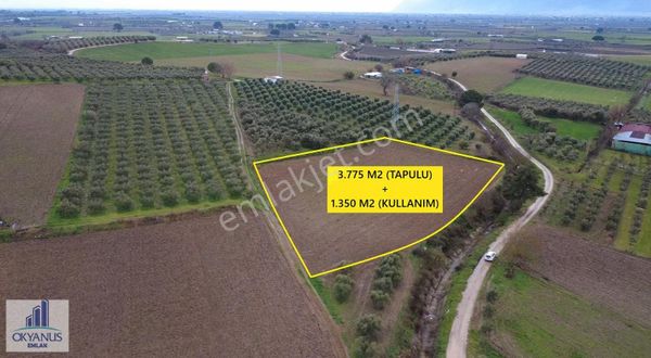 Üçpınar Da 3.775 M2 Tarla, K. Yolu Var, 5.120 M2 Kullanım Alanı