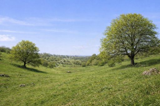 Bilecik Bozüyük Satılık Ana Yola Yakın 9 Dönüm Tarla