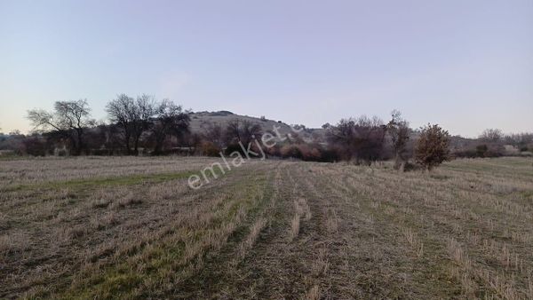 Manisa Kula Satılık İzmir-uşak Ana Yoluna Çok Yakın Fırsat Bağ