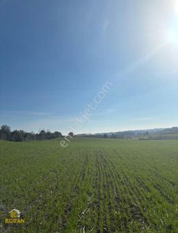 Boran Gayrimenkul'den Karaisalı 1 Km Uzaklıkta Satılık Tarla