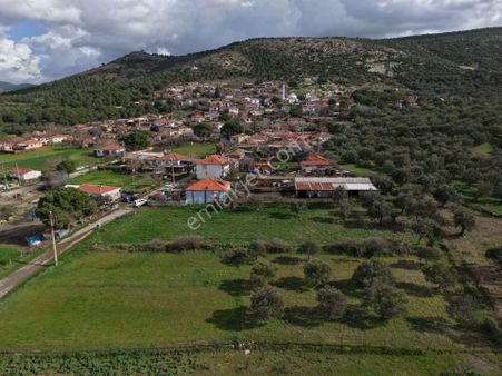 Ayvalık Ilıca Türközünde 1.915 M² Altı Ağaçlı Yatırımlık Arsa